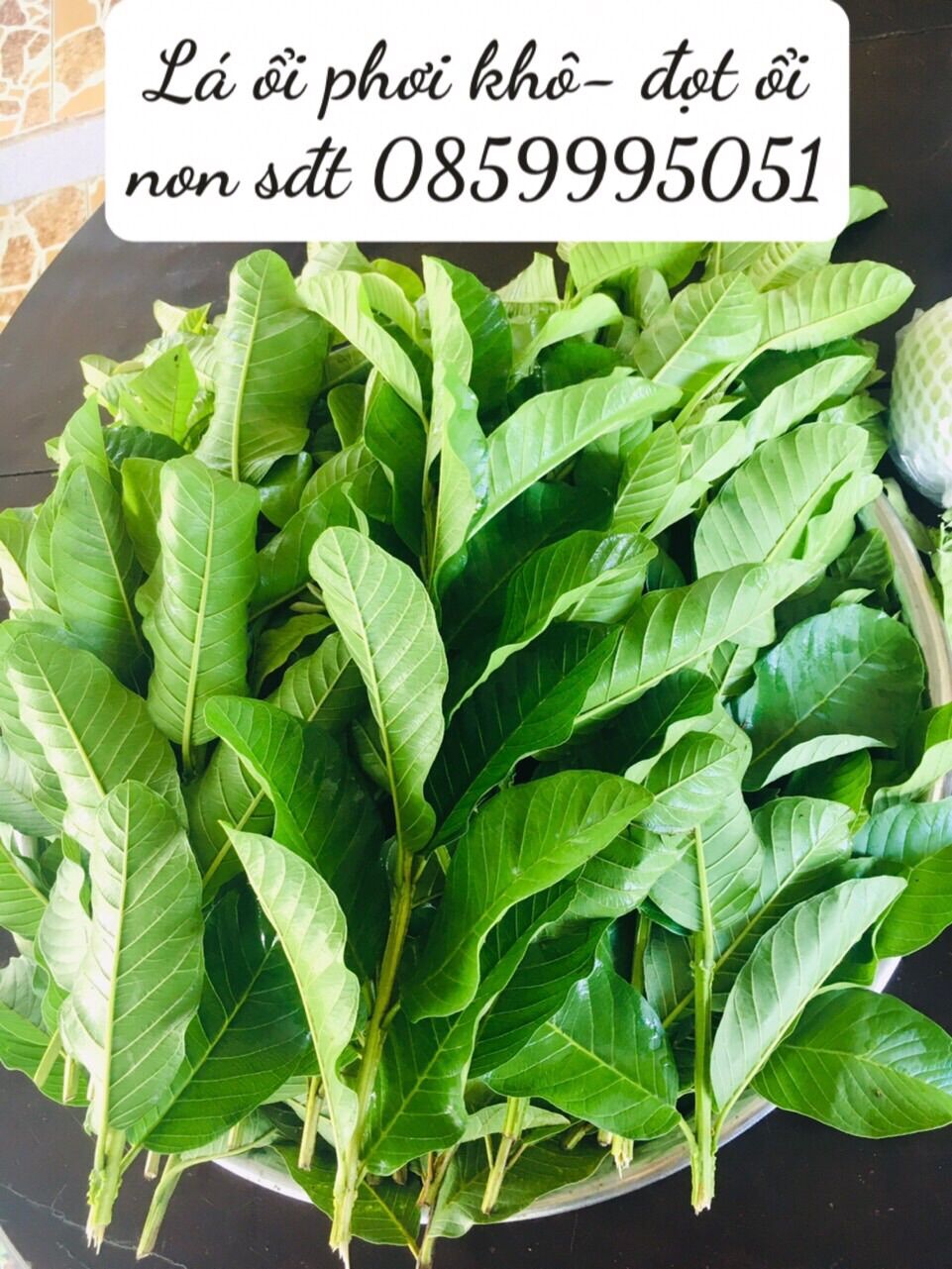 Đọt ổi phơi khô nguyên đọt 0,5kg