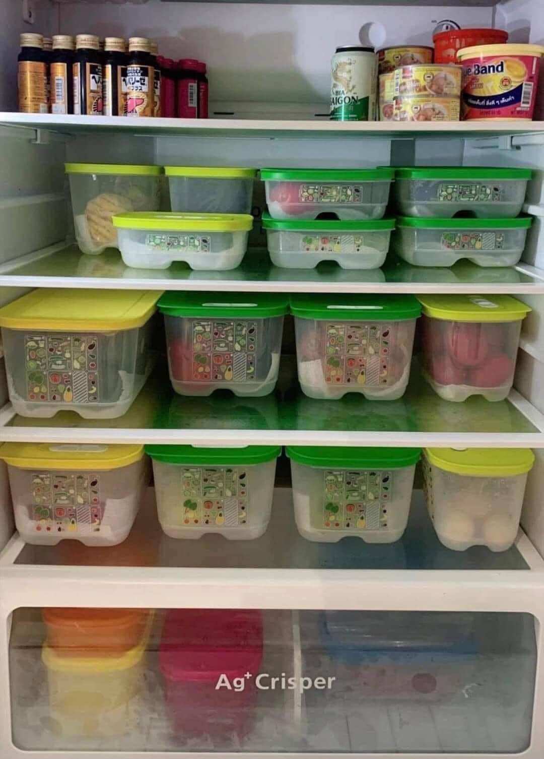 Bộ trữ mát Tupperware Vensmart 6 hộp