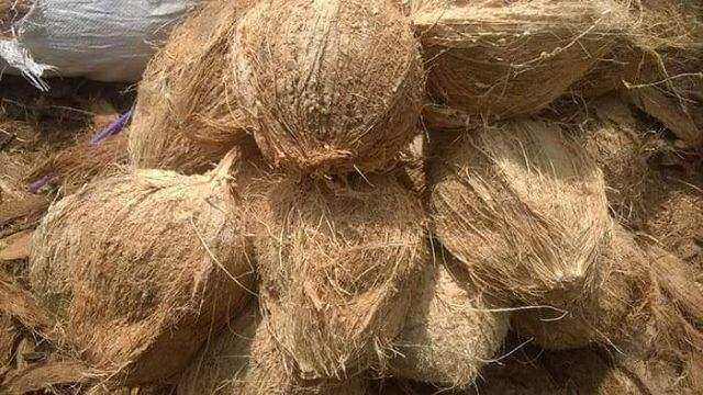 Dừa khô trái dưới 1kg