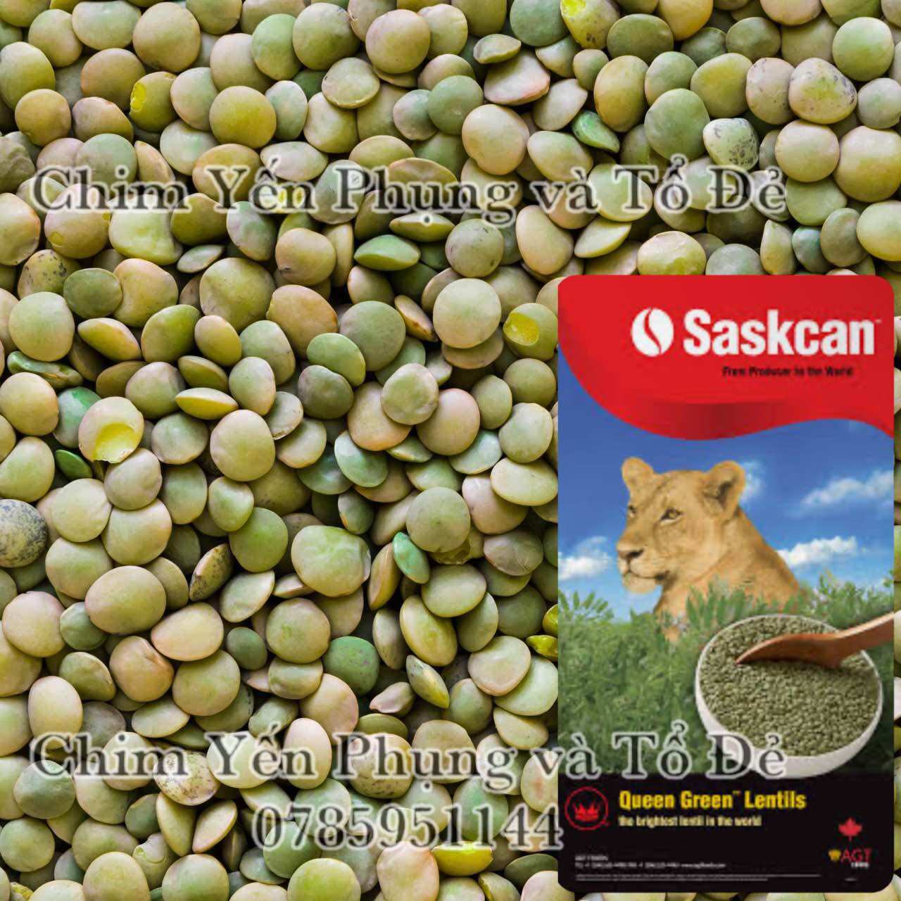 1kg đậu lăng xanh - xuất xứ: Canada 🇨🇦