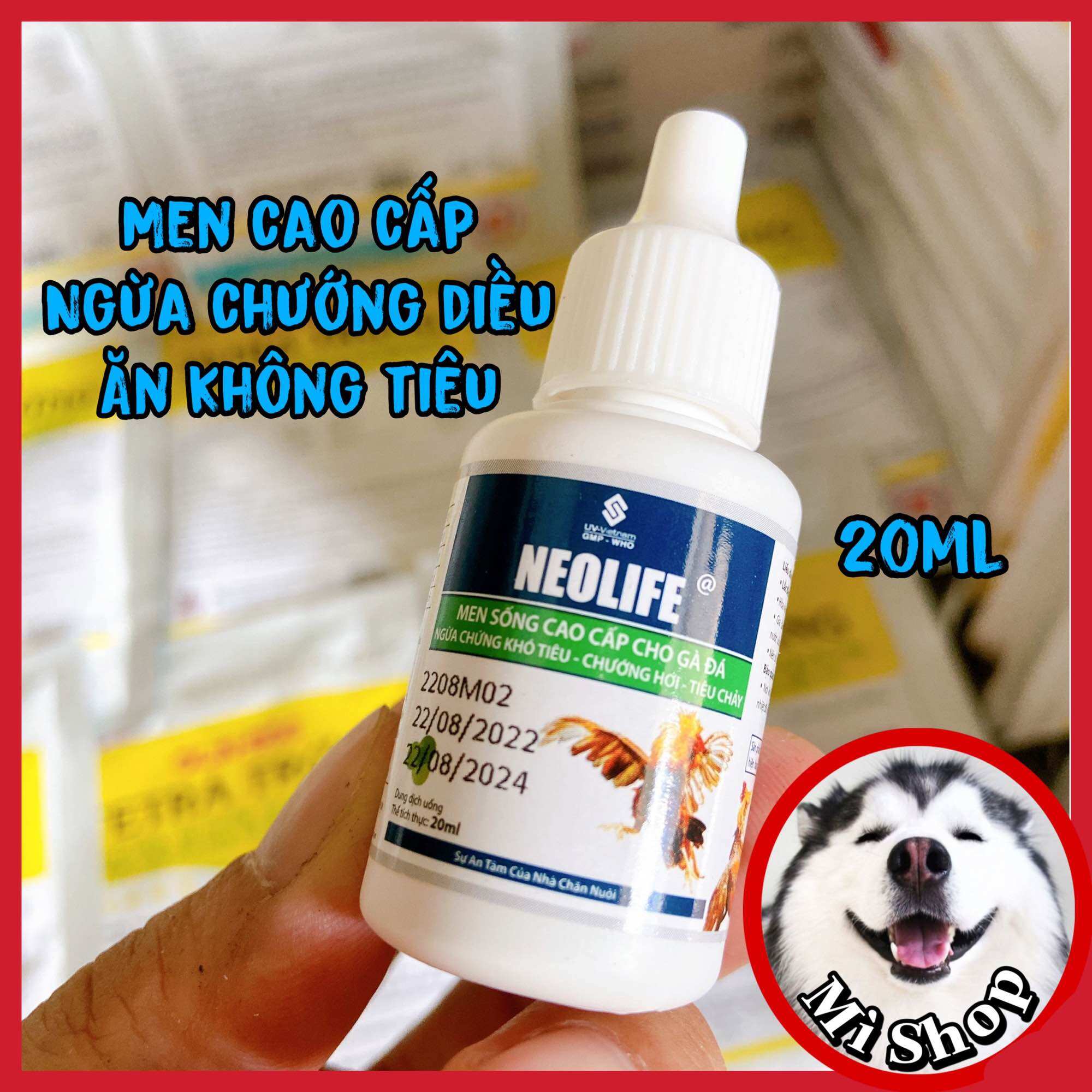 Uv Nysta nấm diều, nấm họng, đẹn miệng gà đá