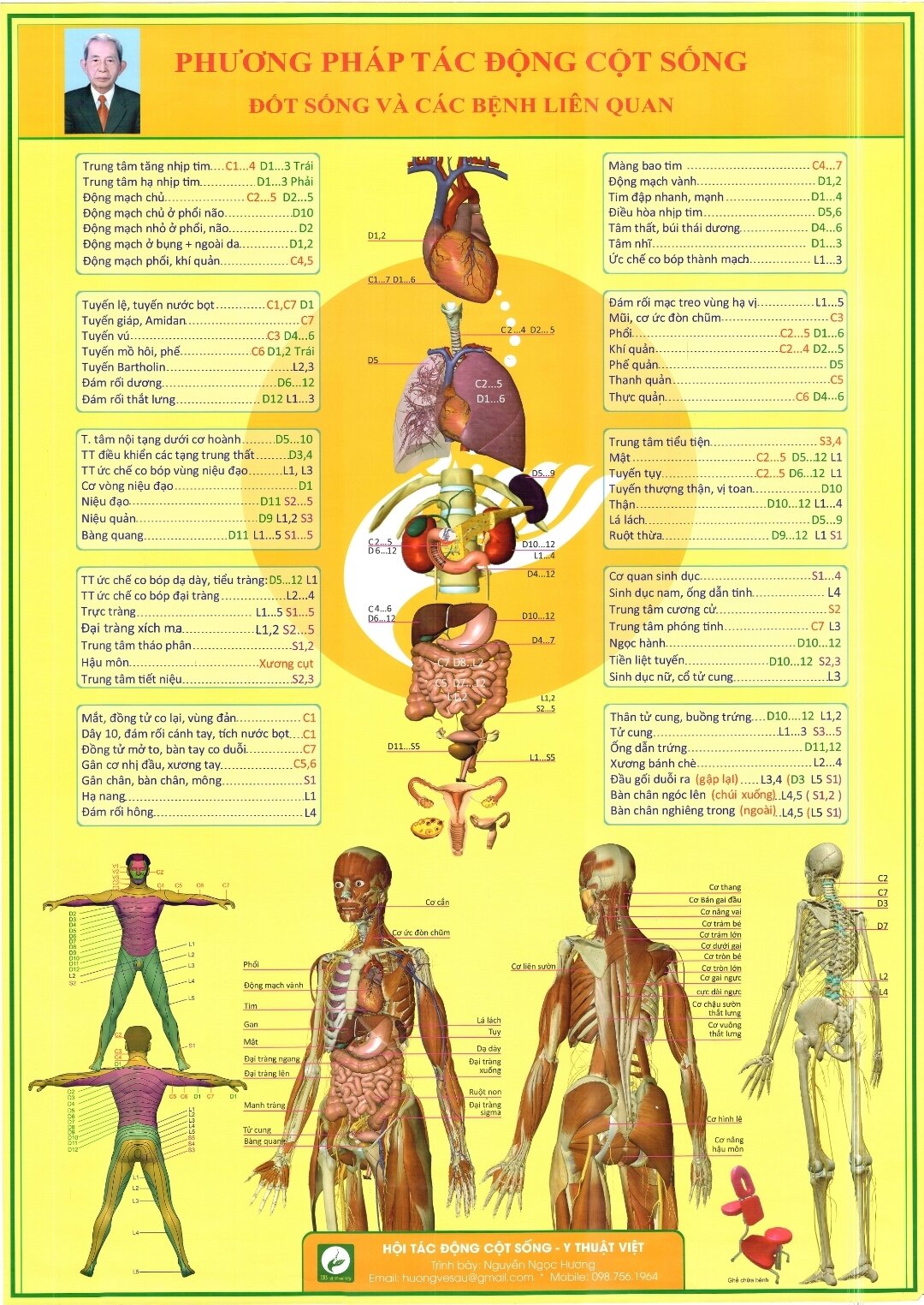 Phương pháp tác động cột sống, đốt sống và các bệnh liên quan