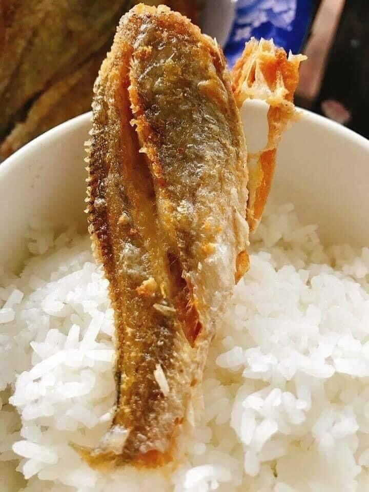 [500gr] KHÔ ĐÙ 1 NẮNG LONG HẢI SIZE 10-15c/ký