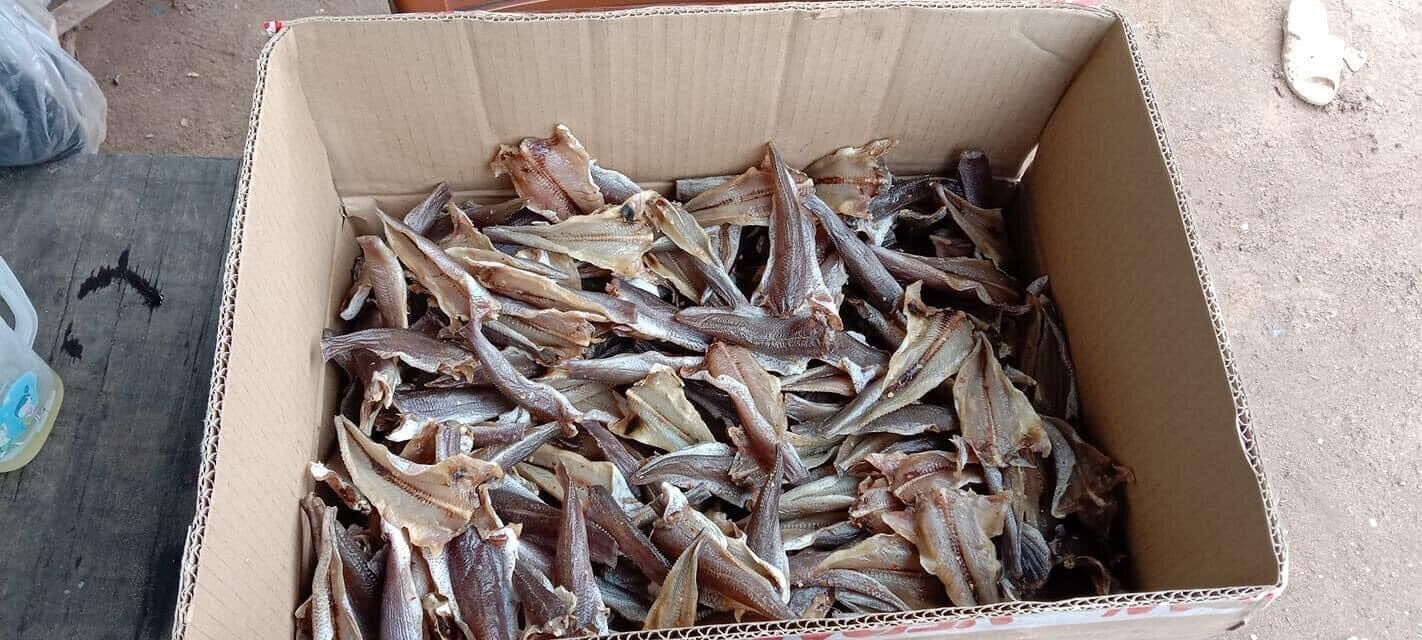 Khô cá lóc cửng 1kg đặc sản An Giang