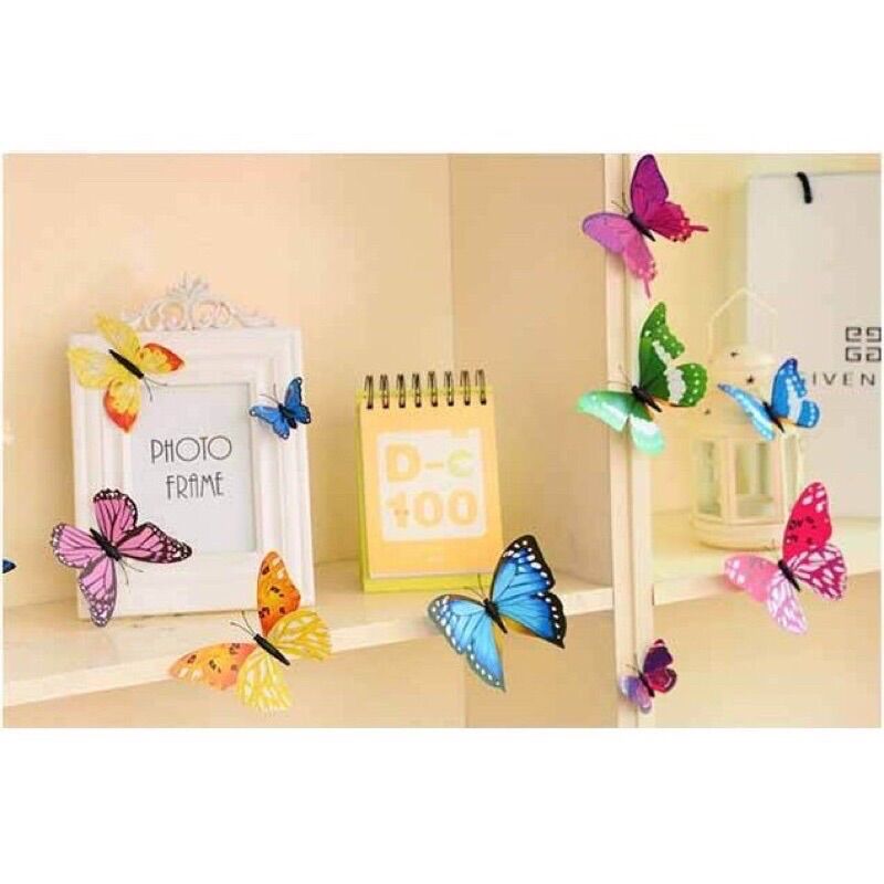 Bướm 3D trang trí