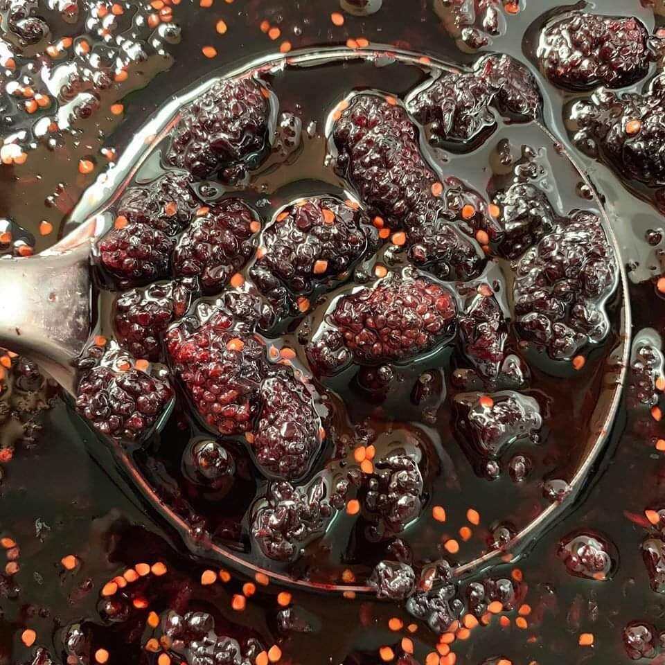 DÂU TẰM NGÂM ĐƯỜNG LÊN MEN