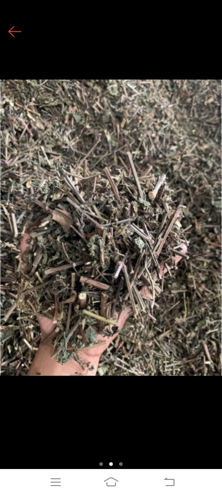 1 kg cây râu mèo kho