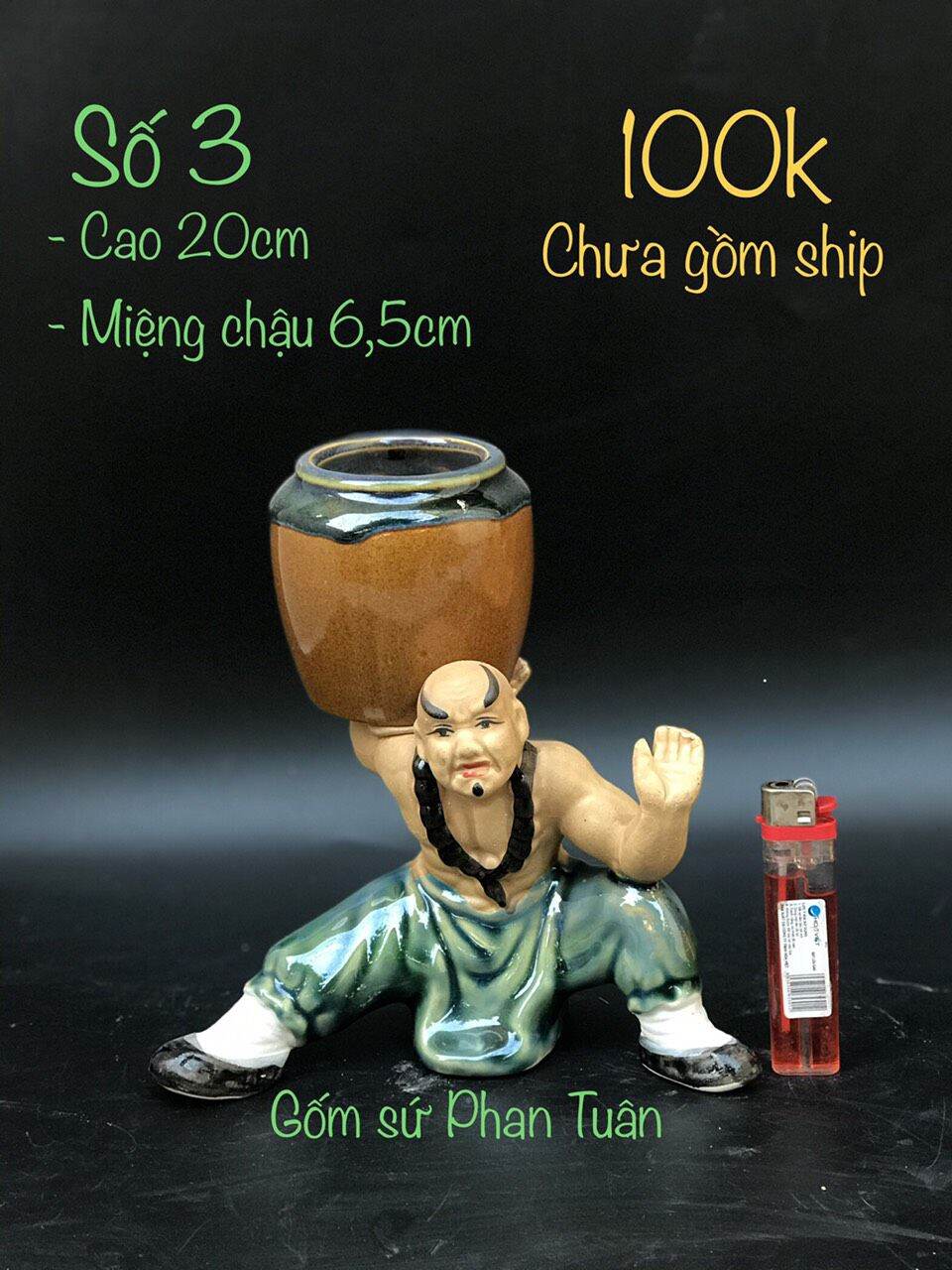 Cõng vò mini