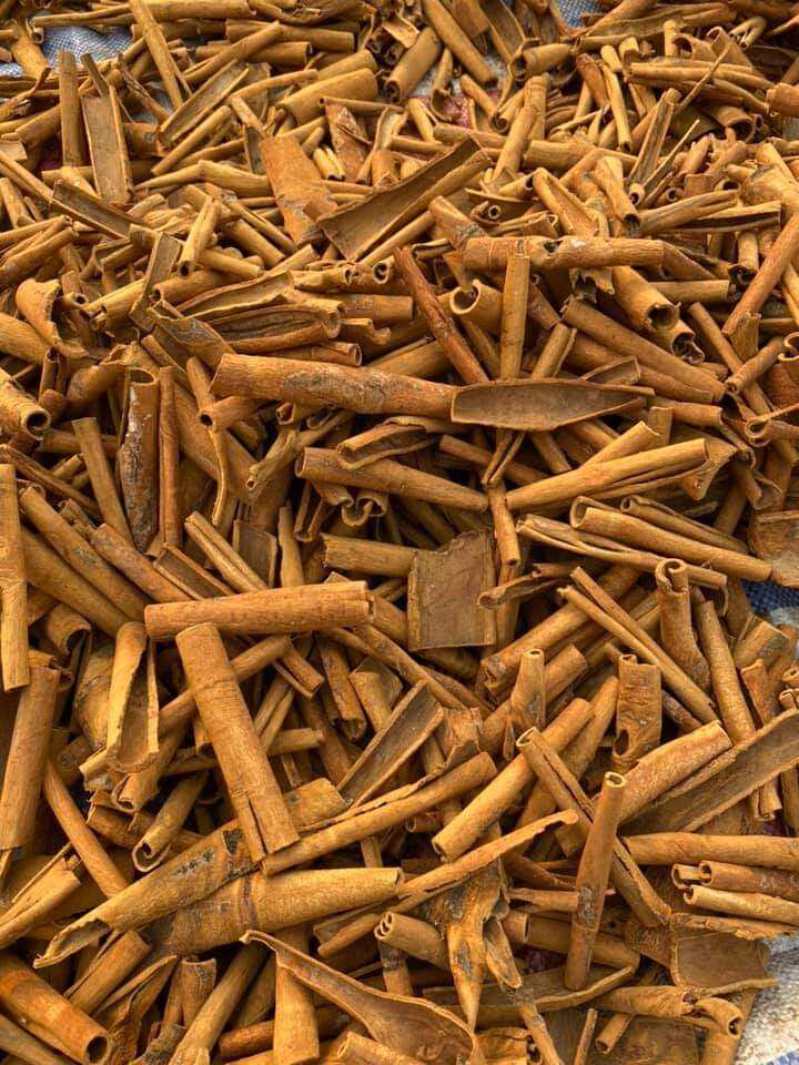 100 Gram Quế Vụn, thơm sạch, quế làm trà, quế xông nhà