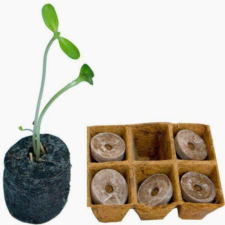 Combo 50 viên nén xơ dừa ươm hạt