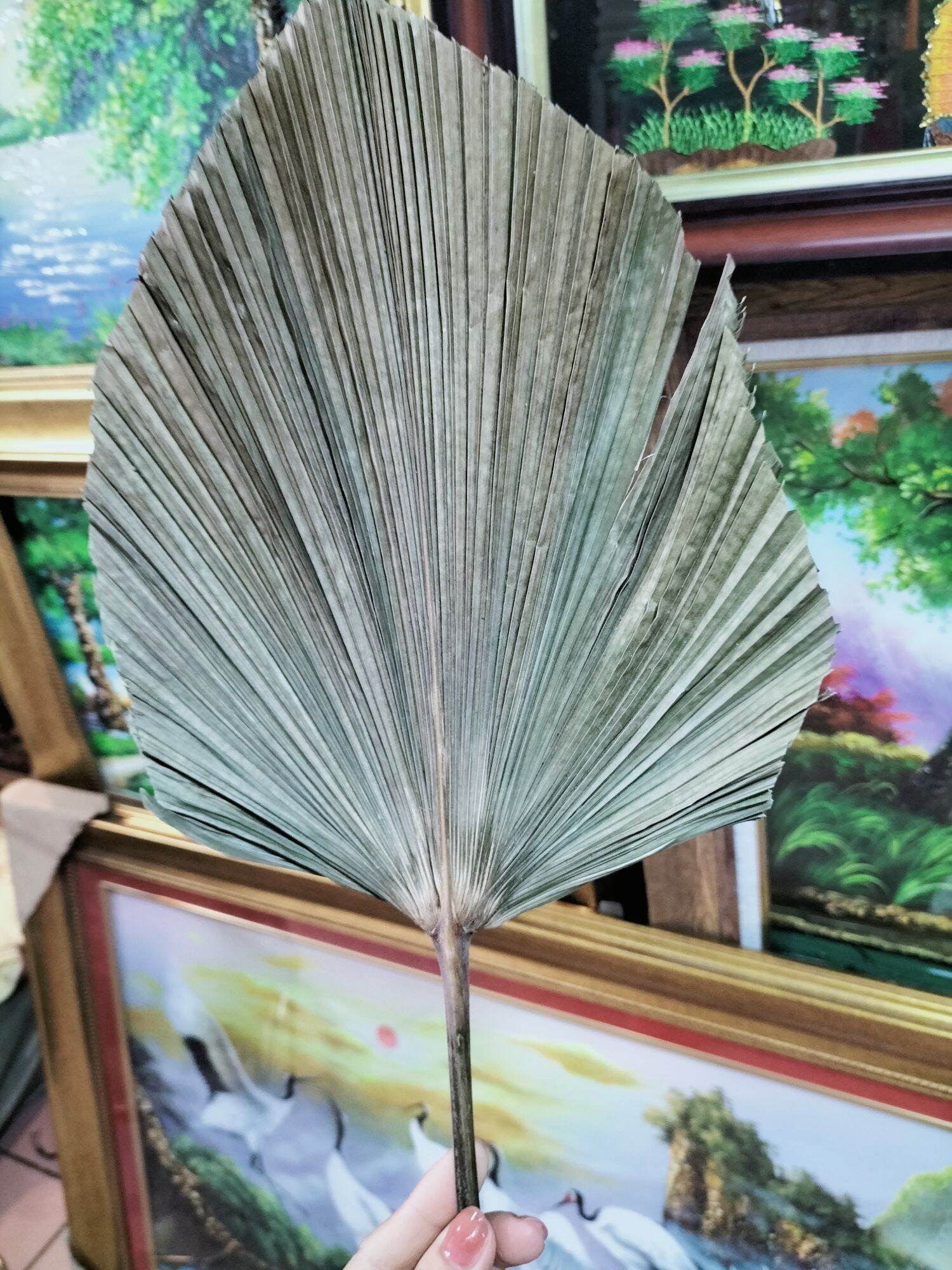 Quạt cổ trang Thiết Yến công chúa, quạt nan gỗ đàn hương xếp hình bông hoa hướng dương đẹp