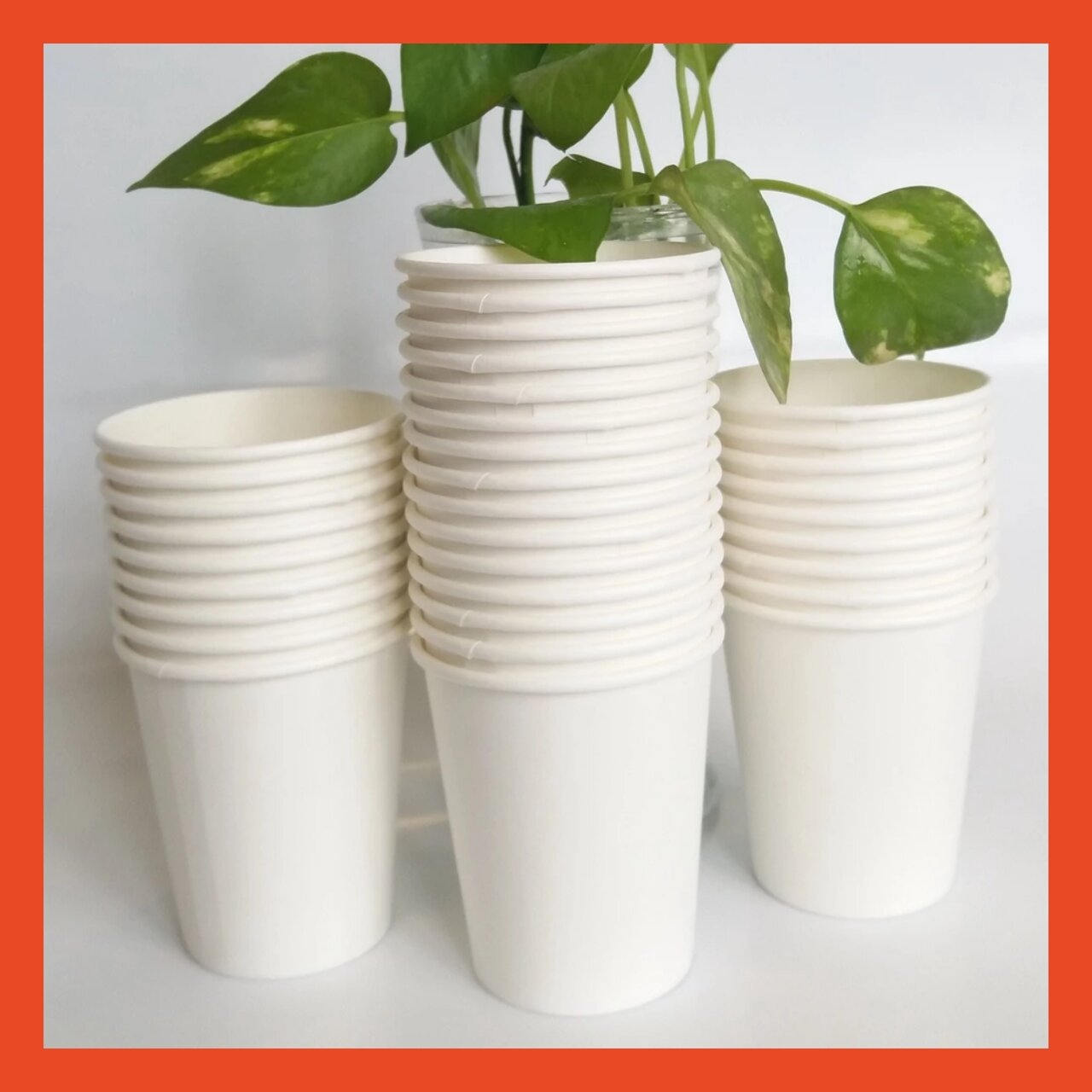 Lốc 50 ly giấy tiện dụng