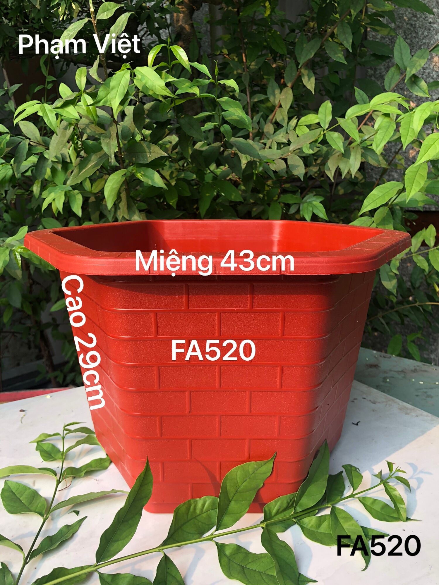 Chậu nhựa trồng cây 5 cái lục giác FA520 đỏ gạch dày dặn