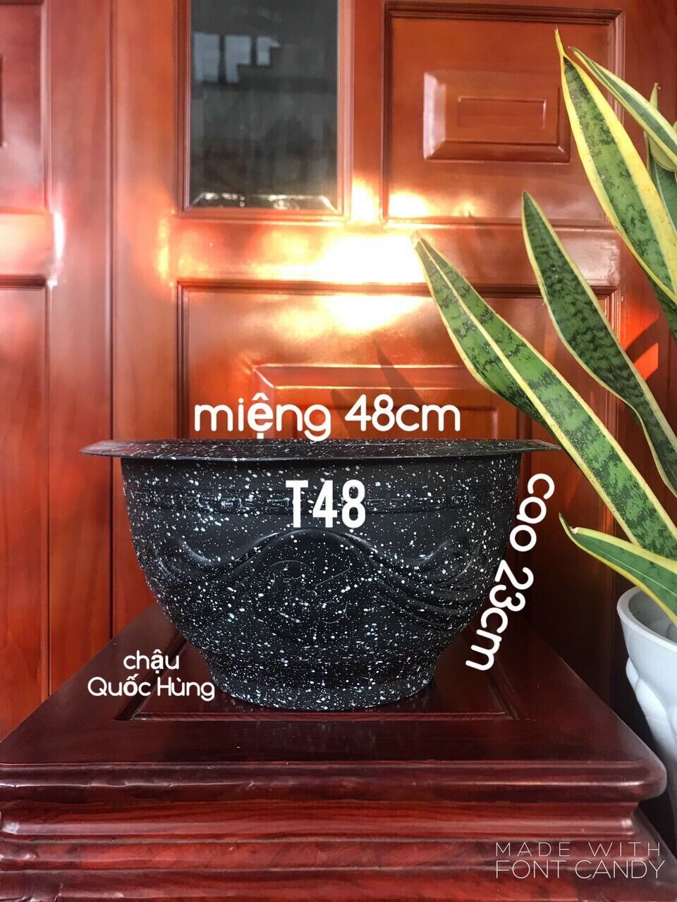 Combo 5 chậu trồng cây T48 đen