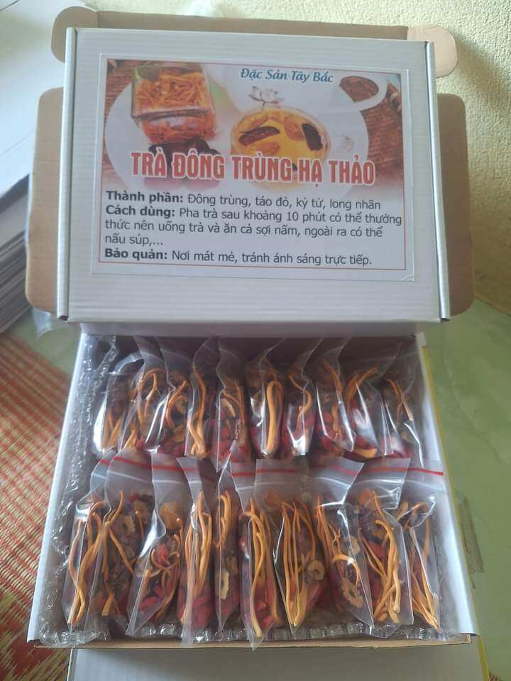 Trà đông trùng hạ thảo.