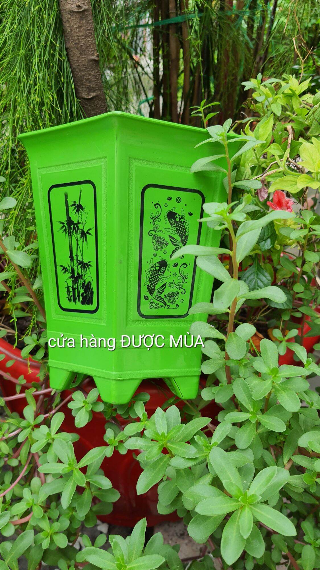 Chậu lục giác in lụa chân cao size nhỏ 17x20cm