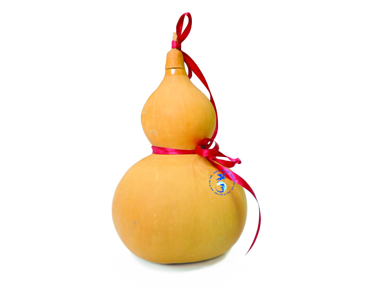 Quả bầu hồ lô to 20-24cm