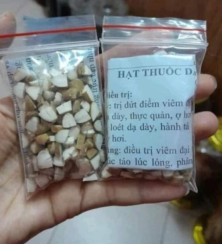 Hp, viêm loét dạ dày, đại tràng, hang vị