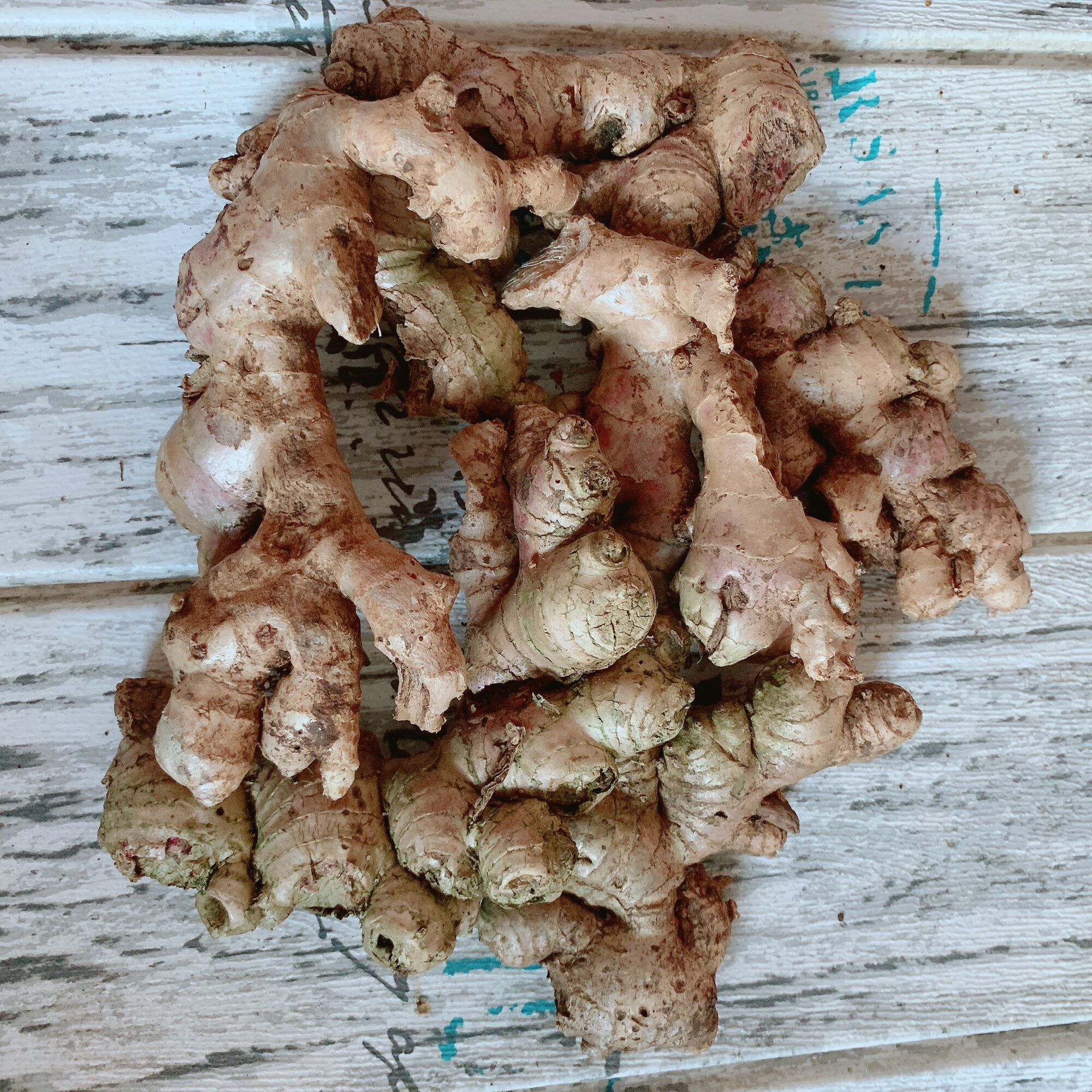 Gừng tươi nhà trồng 1kg