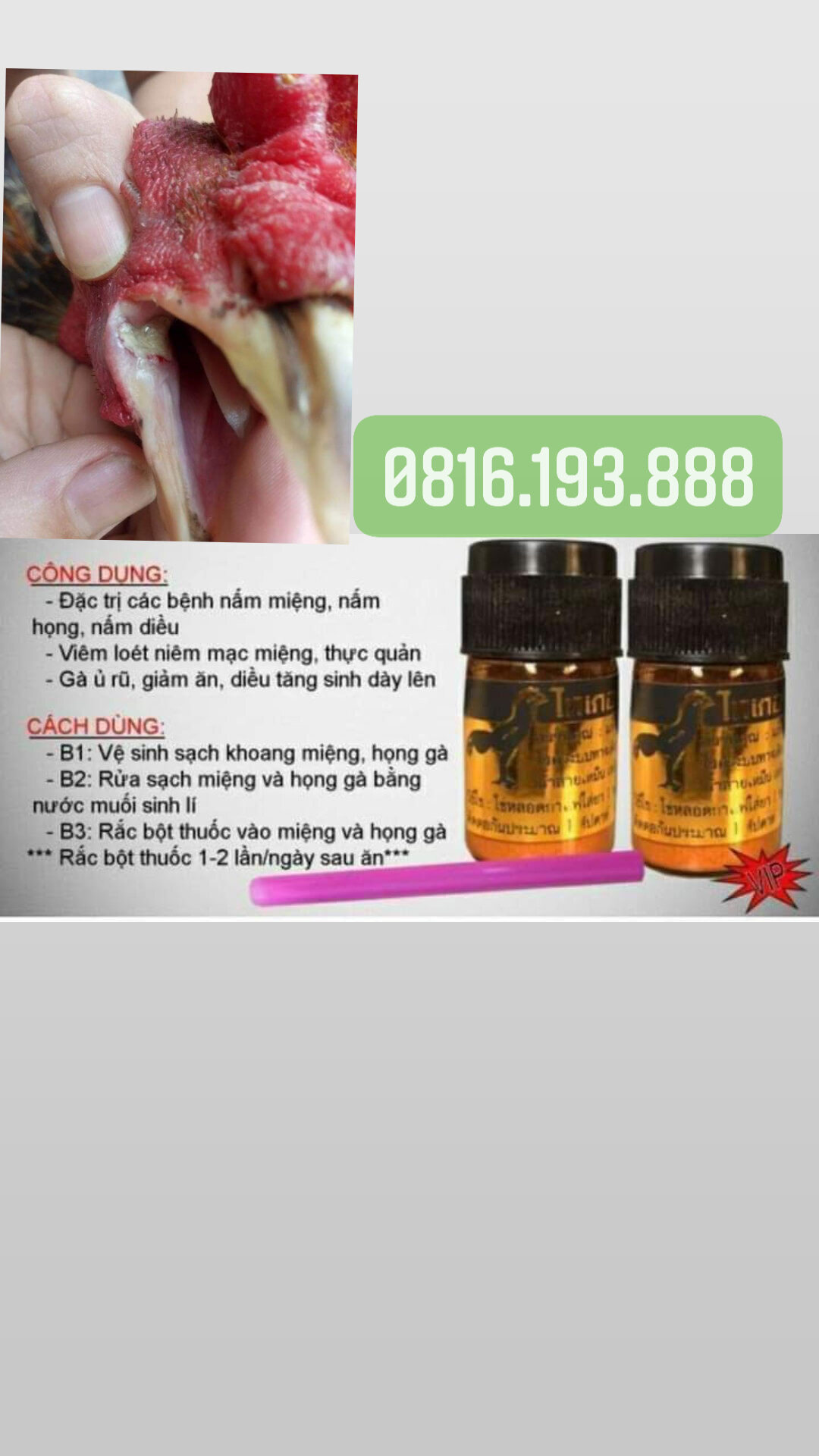 Nấm họng cho gà loại cao cấp n hất