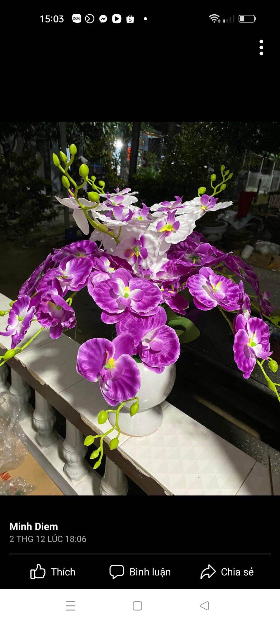 Cành hoa Lan Hồ Điệp thân dài 60cm