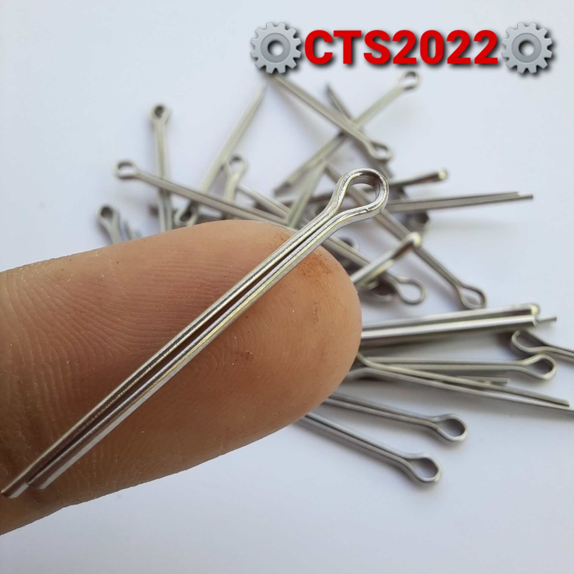 Chốt chẻ inox 2ly