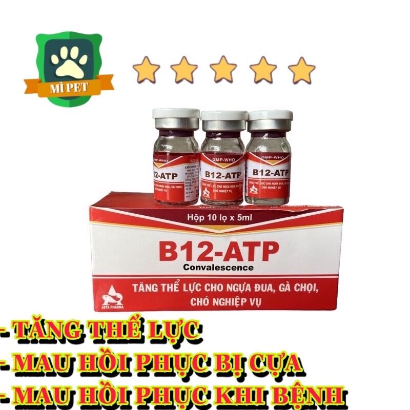 B12 Atp tăng lực, tăng cơ, đõ dai, bền sức, sung căng gà đá lọ 5ml