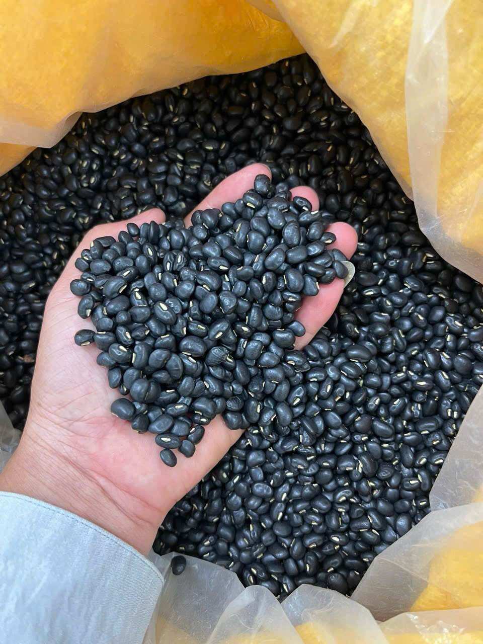 Đậu đen xanh lòng gói 250gr - hàng Cty Phú Minh Tâm