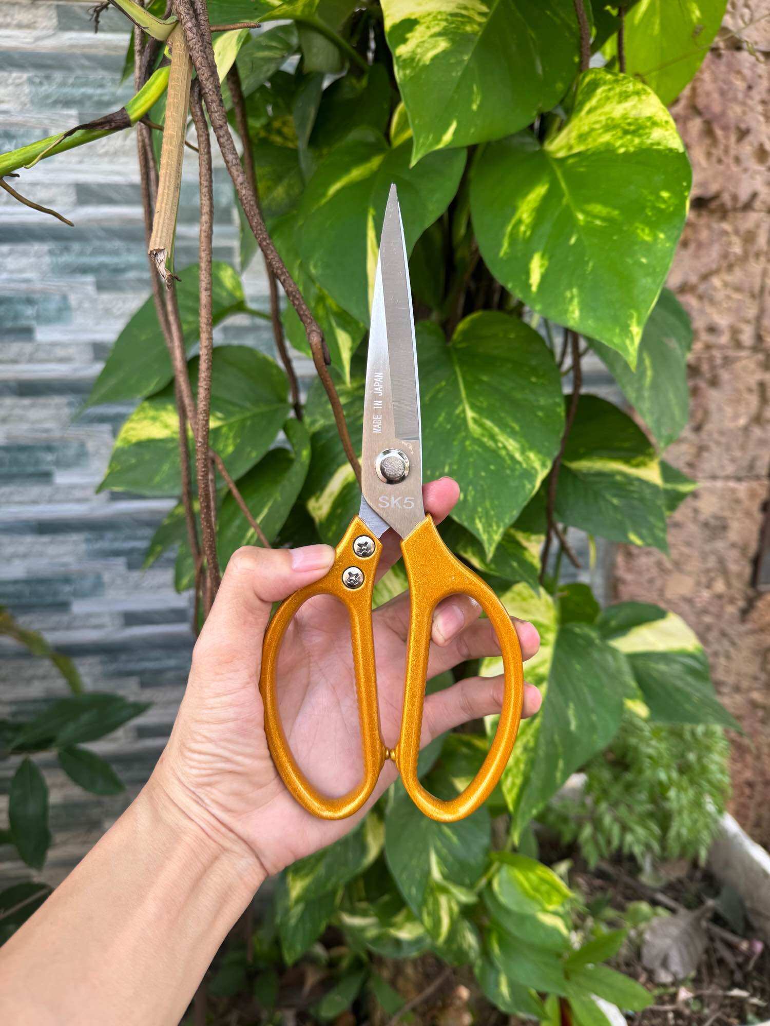 Kéo làm bếp cán vàng nhật bản nặng 200g dài 23cm cao cấp