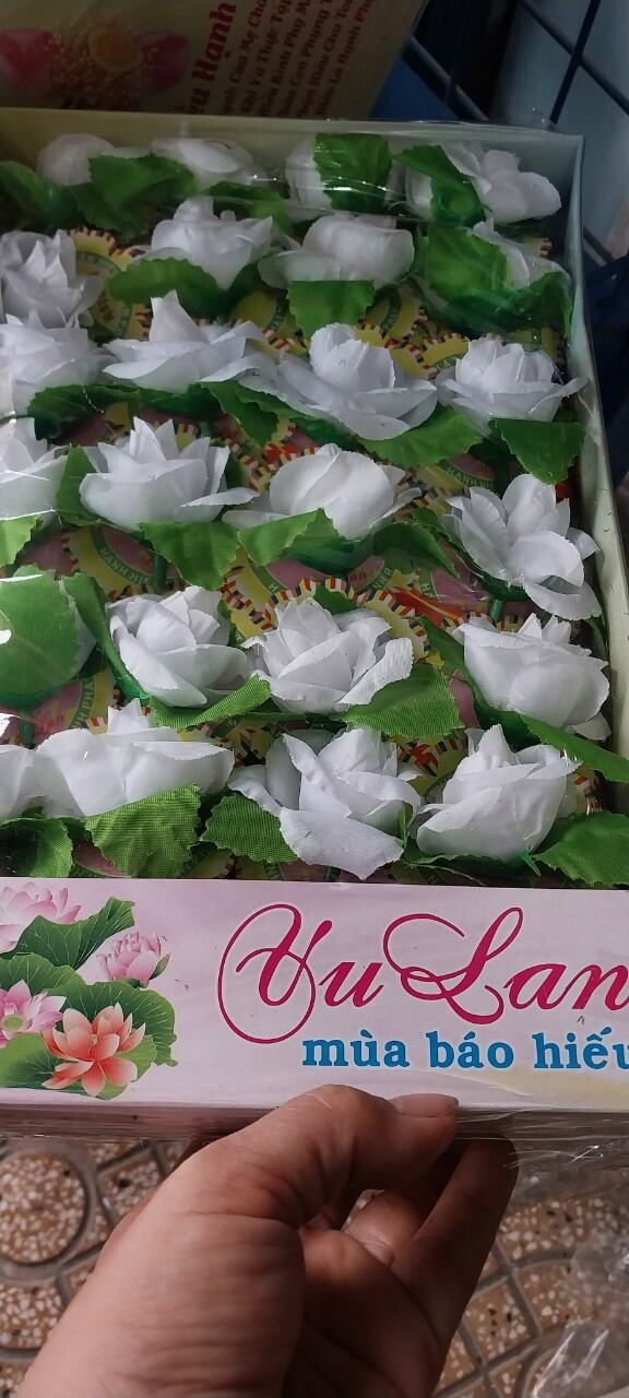 Bông hồng cài áo