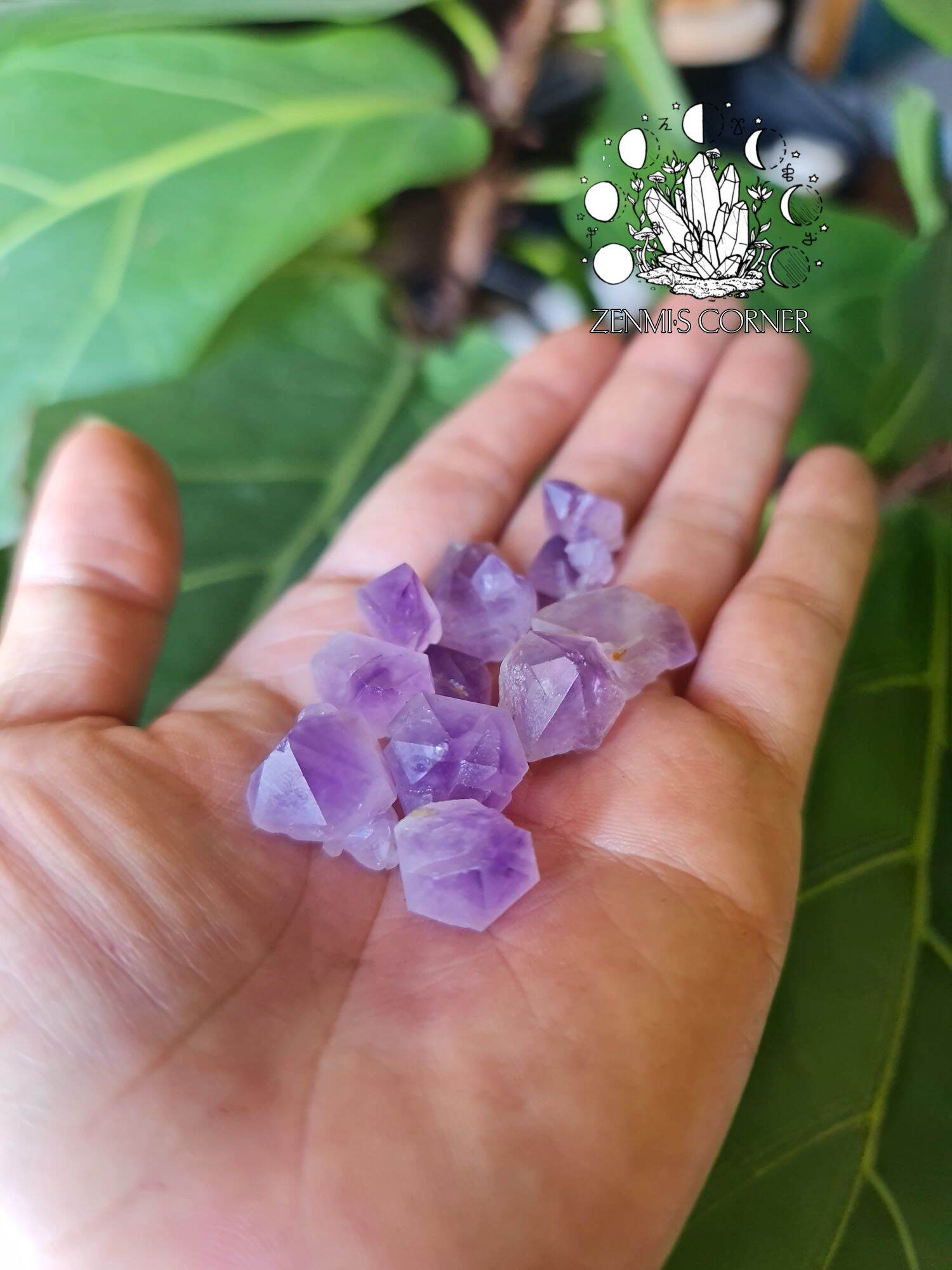 ( Amethyst ) Mầm Búp Thạch Anh Tím Tự Nhiên