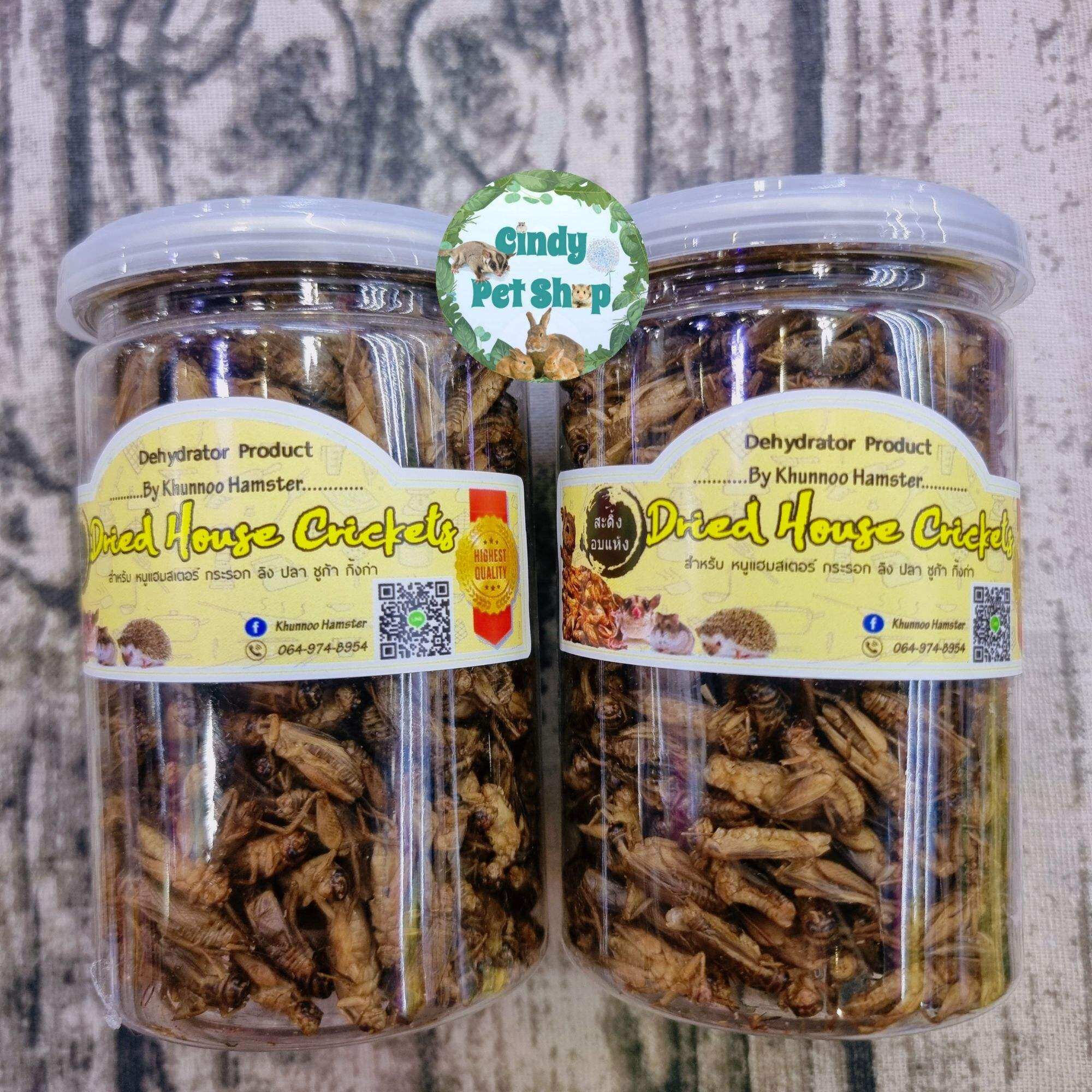 Hộp dế sấy khô 100g thức ăn cho Bò Sát, Sóc, Hamster, Nhím...