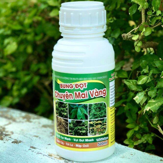 BUNG ĐỌT  - CHUYÊN MAI VÀNG thế hệ mới - CHAI 500ML.