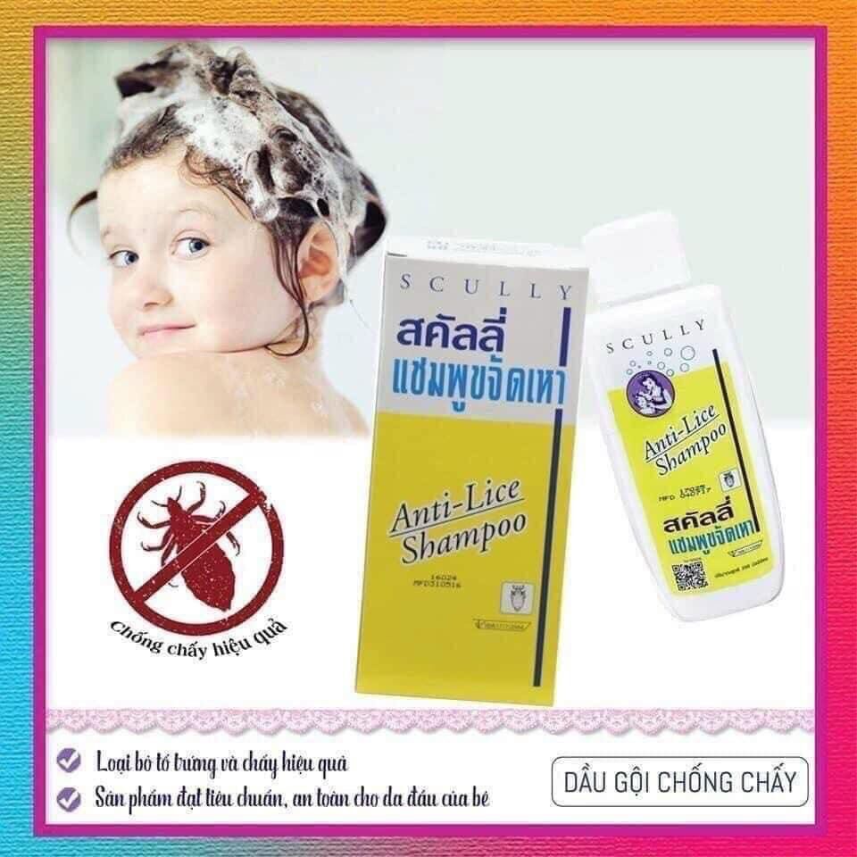 Dầu gội đánh bay chấy thái lan