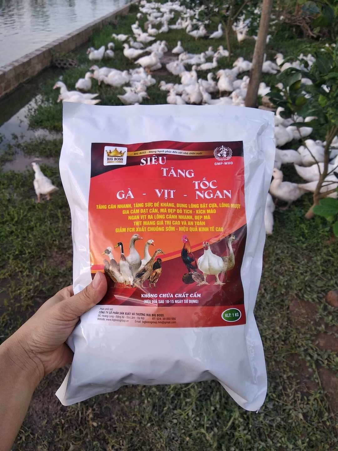 Siêu tăng tốc gà vịt ngan