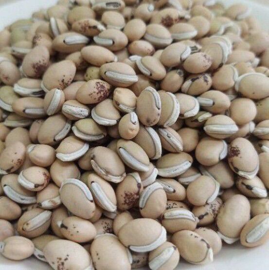 1 Ký Đậu Ván Nấu Chè - Không Có Hạt Sâu