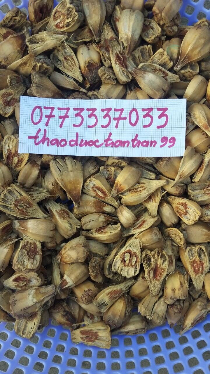 trái dứa gai - dứa dại phơi khô 1kg