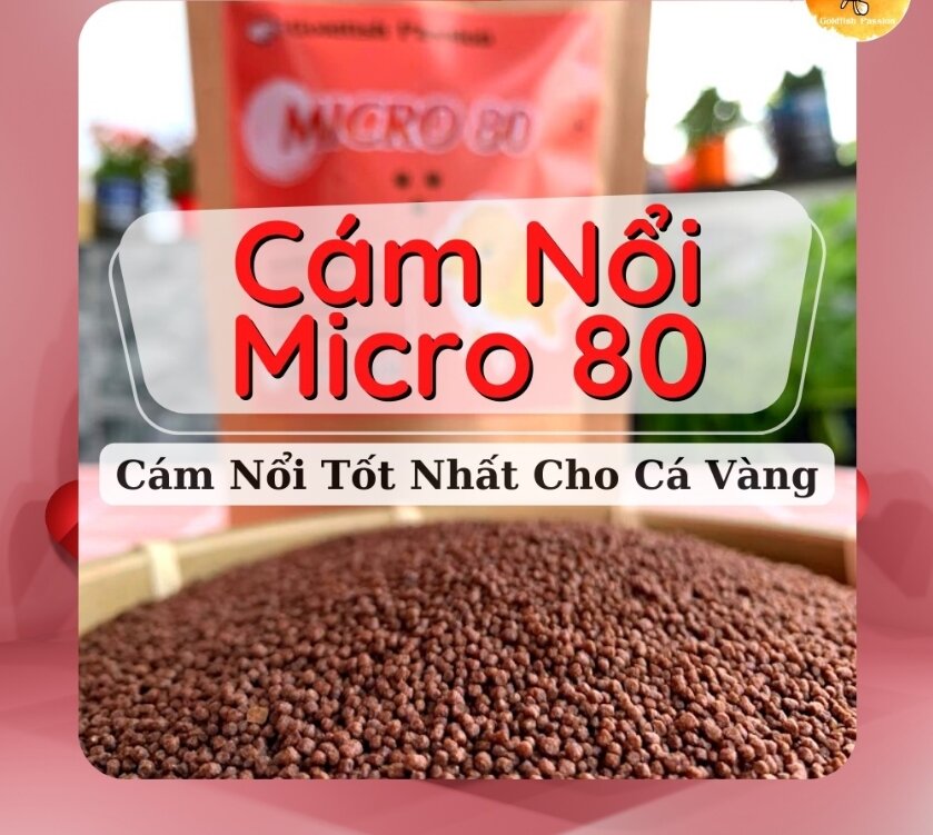 Cám micro 80 hạt nổi cho cá vàng, guppy, betta, két panda, phượng hoàng