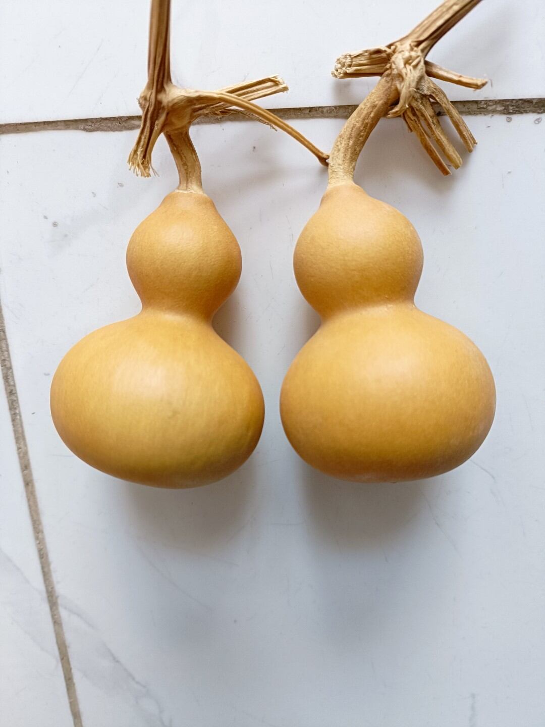 BẦU HỒ LÔ PHONG THỦY