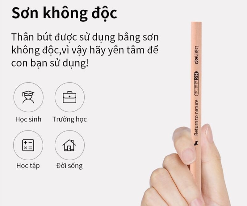 Combo 5 cây bút chì gỗ 2B Deli