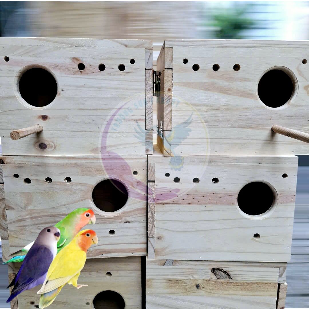 Tổ đẻ cho lovebird