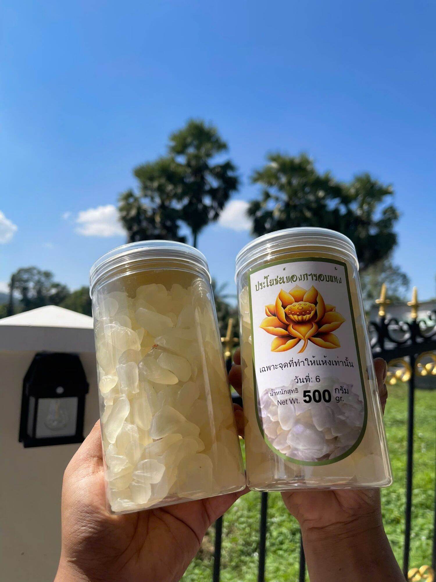 Thốt nốt thái,hạt đác sấy dẻo không đường