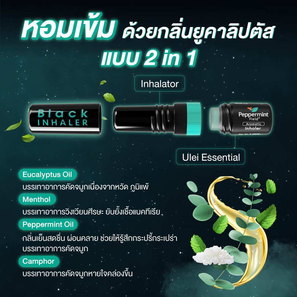Ống Hít Thông Mũi 2 Đầu Peppermint Black Field Thái Lan