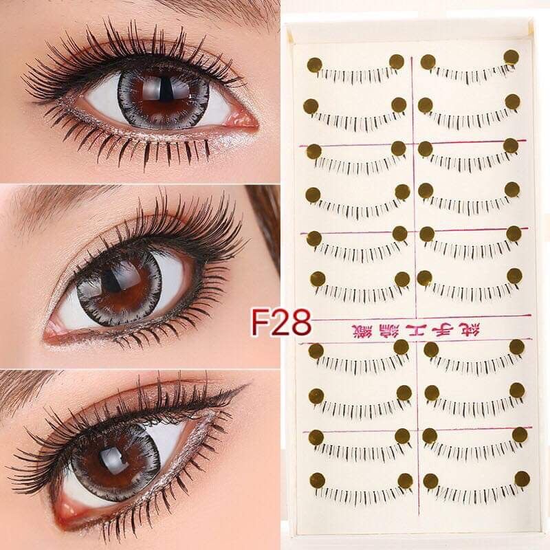 Mi dưới gân trong Tawan F28