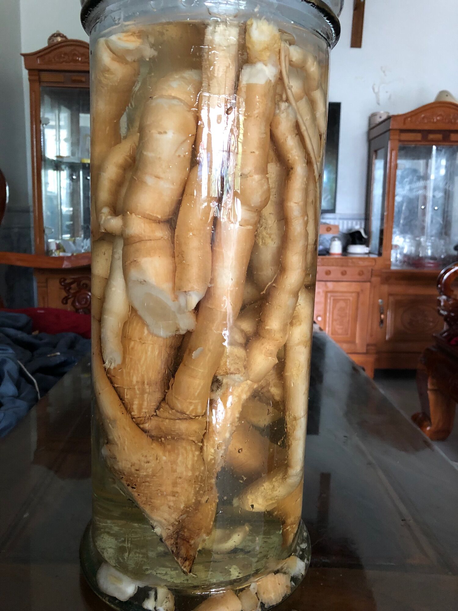 Sâm đất núi đá