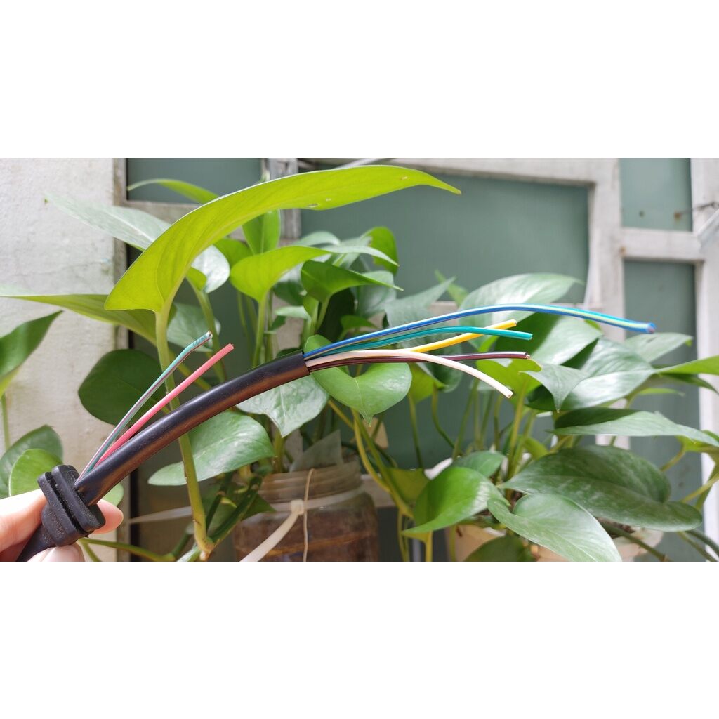 Dây điện mâm lửa Dream Thái (XA2.7)