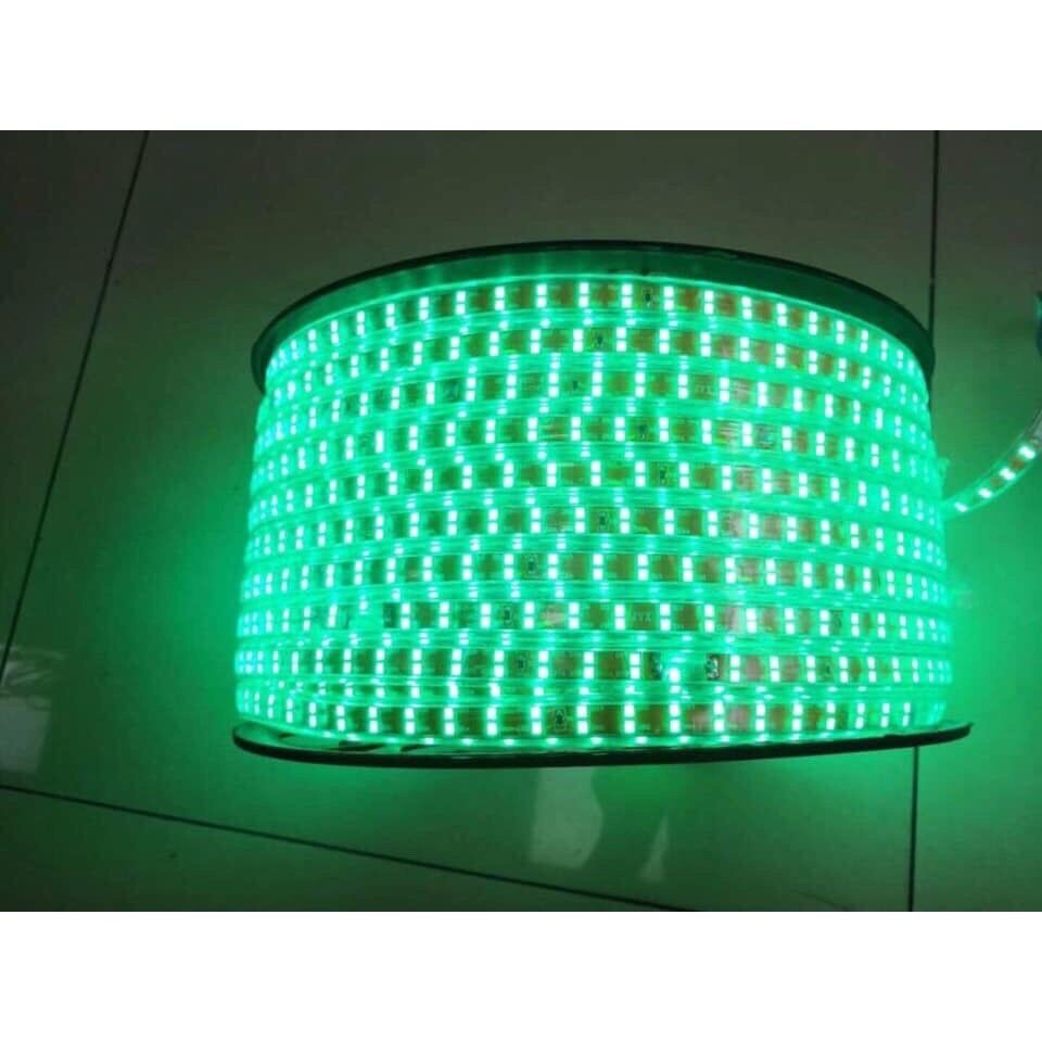 ❄️Đèn nháy cuộn 100m 2835 led đôi (tặng 1 nguồn)