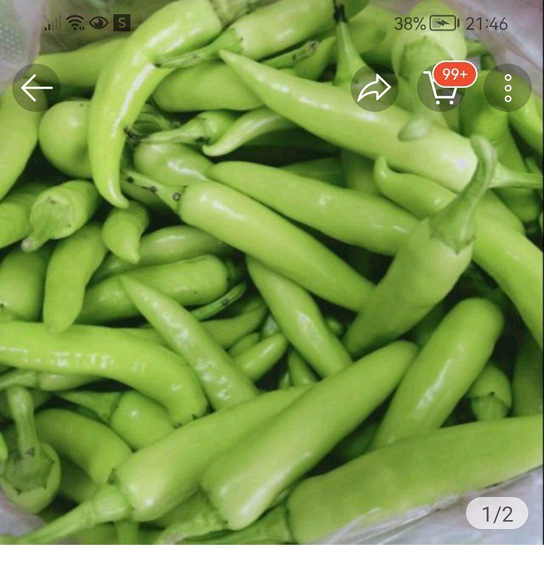 1KG Ớt  Sừng Xanh ( đặc sản Huế)