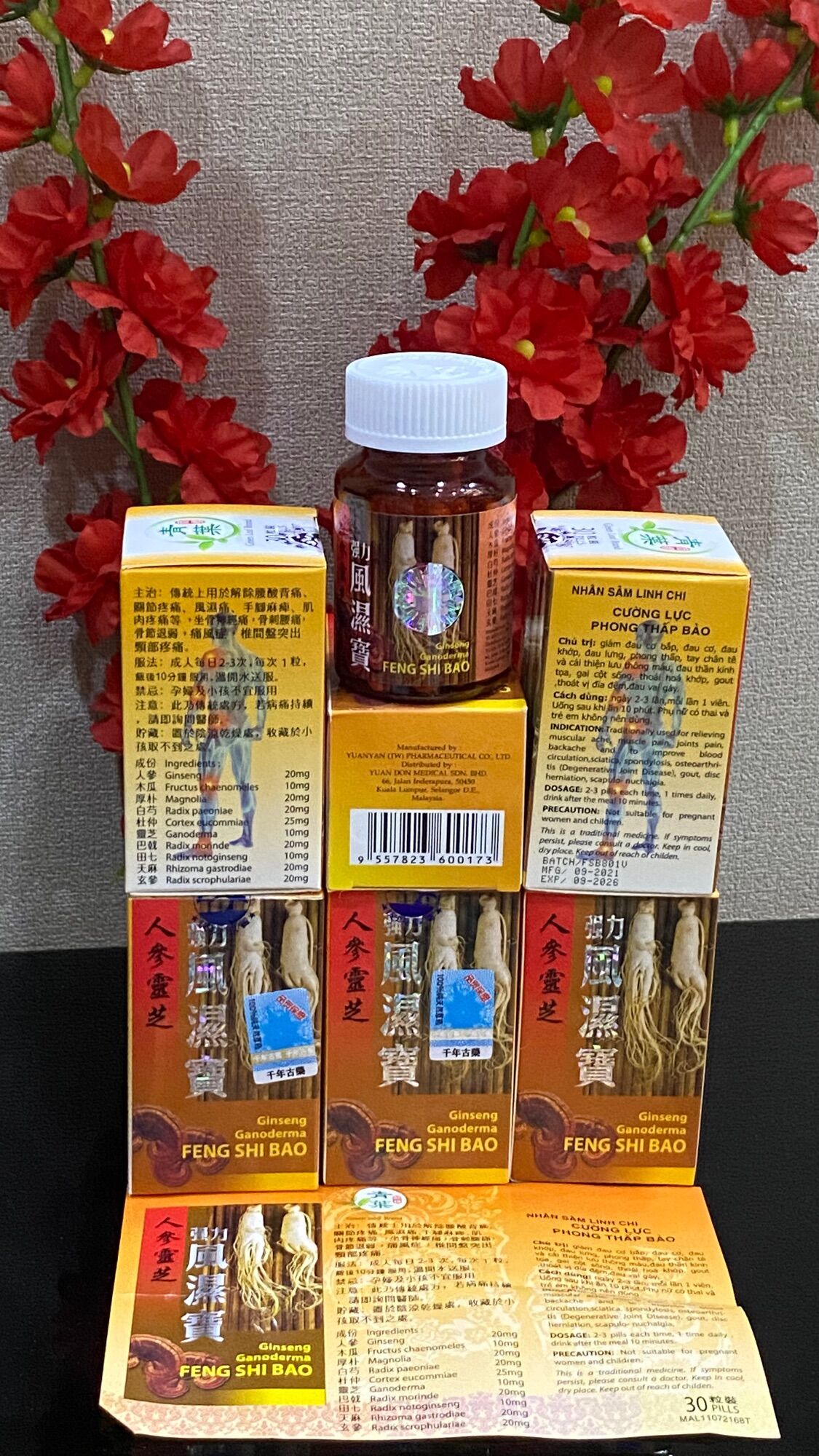 Nhân sâm Linh Chi Cường Lực phong thấp bảo