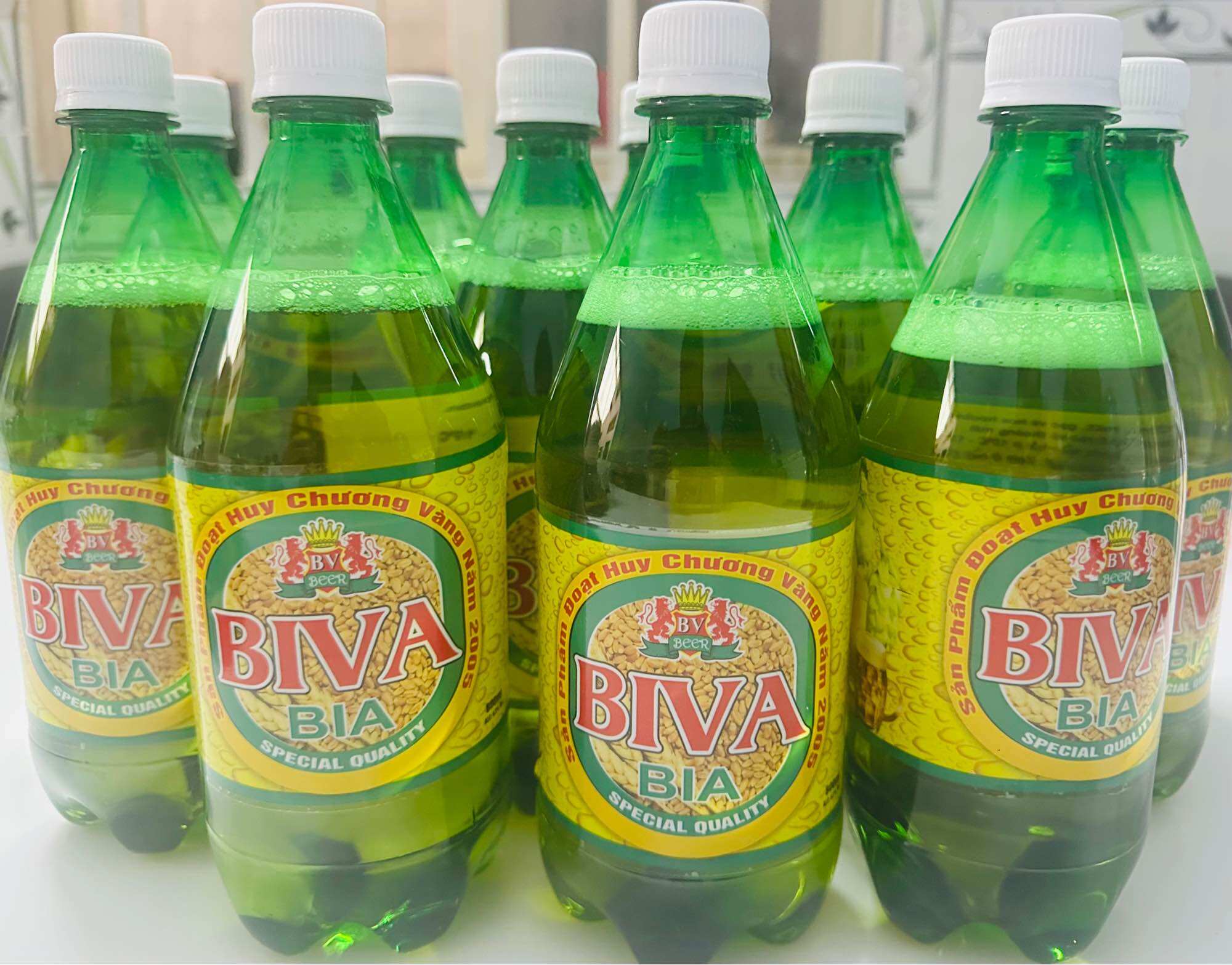 Bia BIVA cao cấp 10 Chai 800 Ml - Uớp lạnh vị sảng khoái cực đã